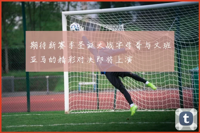 期待新赛季圣诞大战字母哥与文班亚马的精彩对决即将上演